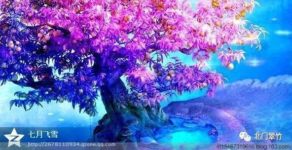 历史上被误解最深的皇帝是谁??,发现更多乐趣